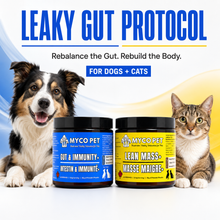 Leaky Gut Protocol for Dogs & Cats