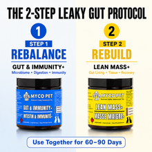 Leaky Gut Protocol for Dogs & Cats