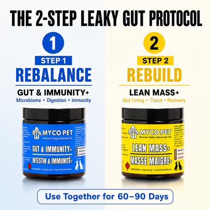 Leaky Gut Protocol for Dogs & Cats