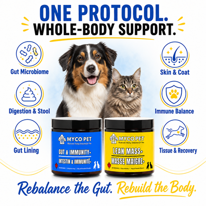 Leaky Gut Protocol for Dogs & Cats
