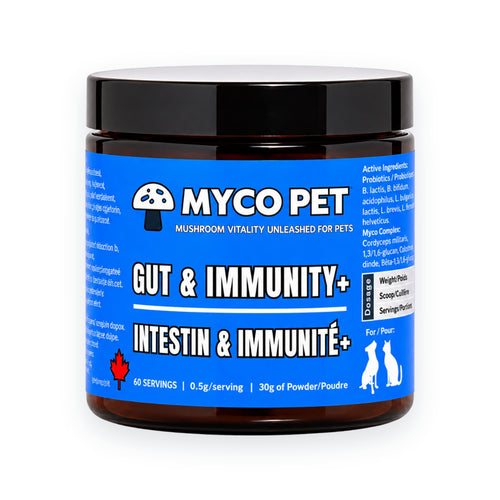 Gut & Immunity+ Probiotic Mushroom Powder for Dogs & Cats - Gut, Skin and Coat, Digestion & Immune Support