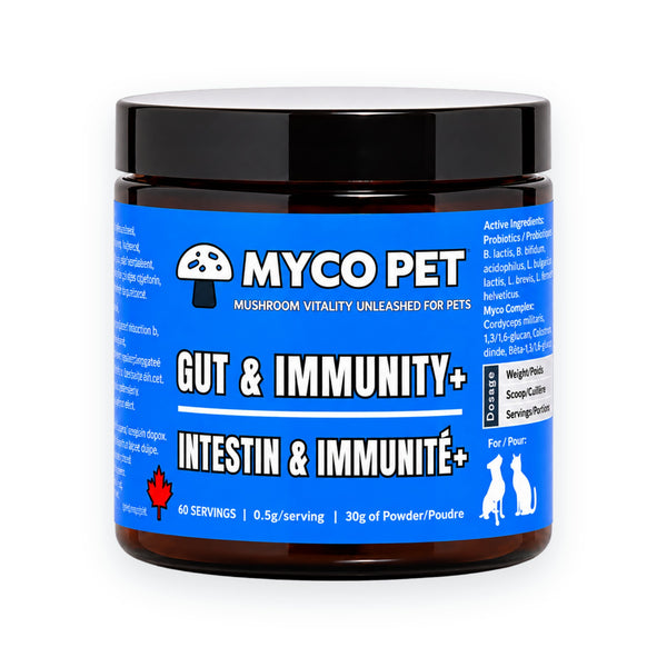 Gut & Immunity+ Probiotic Mushroom Powder for Dogs & Cats - Gut, Skin and Coat, Digestion & Immune Support