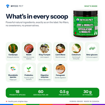 Joint and Mobility+ ingredients: Cordyceps, Reishi, King Trumpet, Lion's Mane, Colostrum, Beta-glucans, 18 probiotic species, Prebiotics, Digestive enzymes, Fenugreek