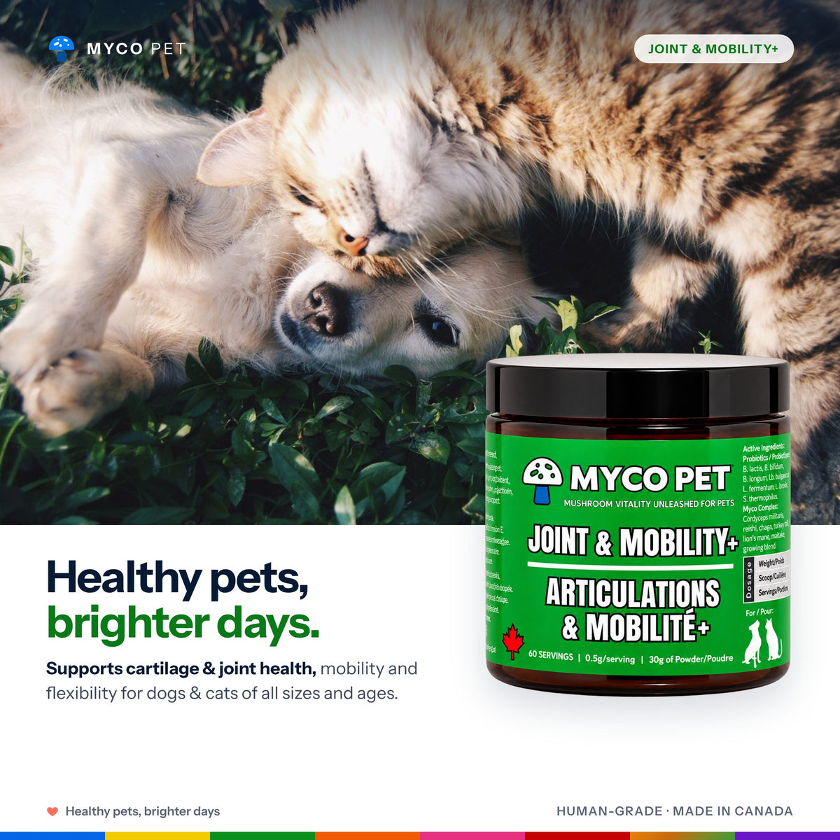 Myco Pet Joint and Mobility+ jar in front of a dog and cat resting together: healthy pets, brighter days