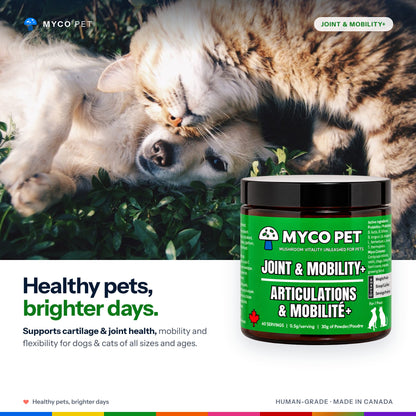 Myco Pet Joint and Mobility+ jar in front of a dog and cat resting together: healthy pets, brighter days