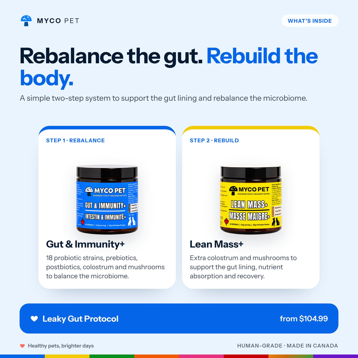 Leaky Gut Protocol in two steps: Gut and Immunity+ to rebalance the microbiome, Lean Mass+ to rebuild the gut lining; from $104.99
