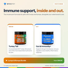 Inside the Lumps and Bumps Bundle: 30:1 Turkey Tail extract for immune support and Gut and Immunity+ for the gut microbiome; from $96.99