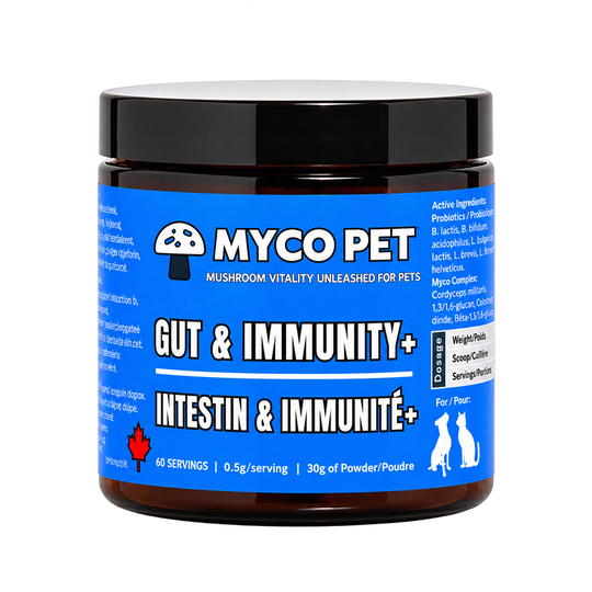 Gut & Immunity+
