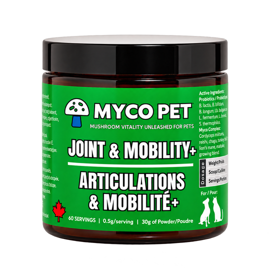 Joint & Mobility+