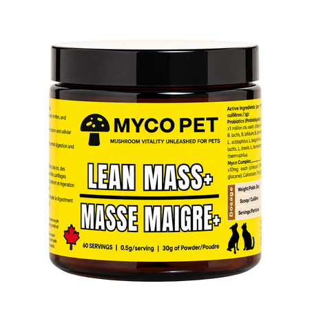 Lean Mass+