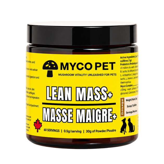 Lean Mass+