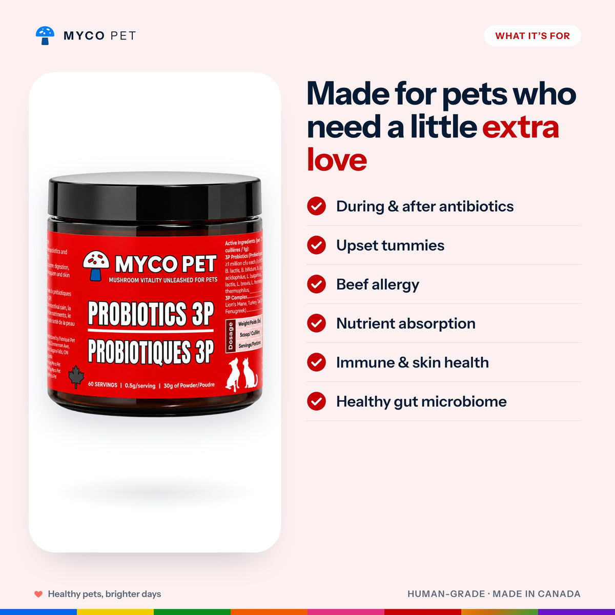 What Probiotics 3P is made for: during and after antibiotics, upset tummies, beef allergy, nutrient absorption, immune and skin health, healthy gut microbiome