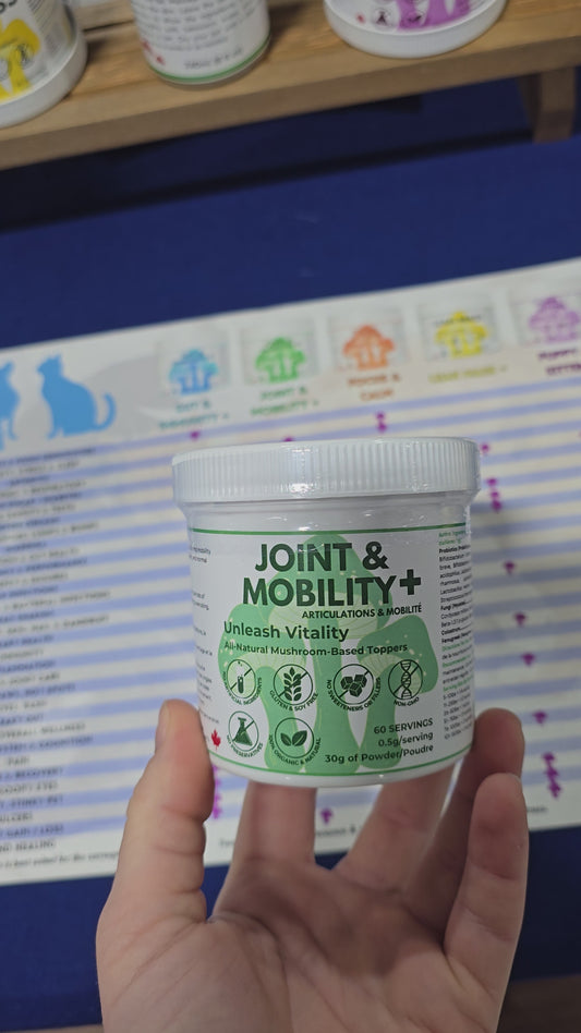 Joint & Mobility+