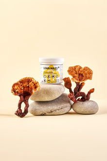 Masa magra 