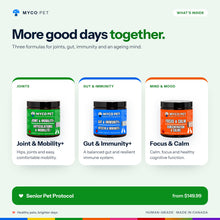 Inside the Senior Pet Protocol: Joint and Mobility+ for joints, Gut and Immunity+ for gut and immunity, Focus and Calm for mind and mood; from $149.99