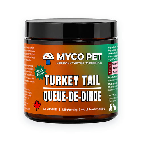 Turkey Tail Mushroom Powder – Immune Support Supplement for Dogs & Cats