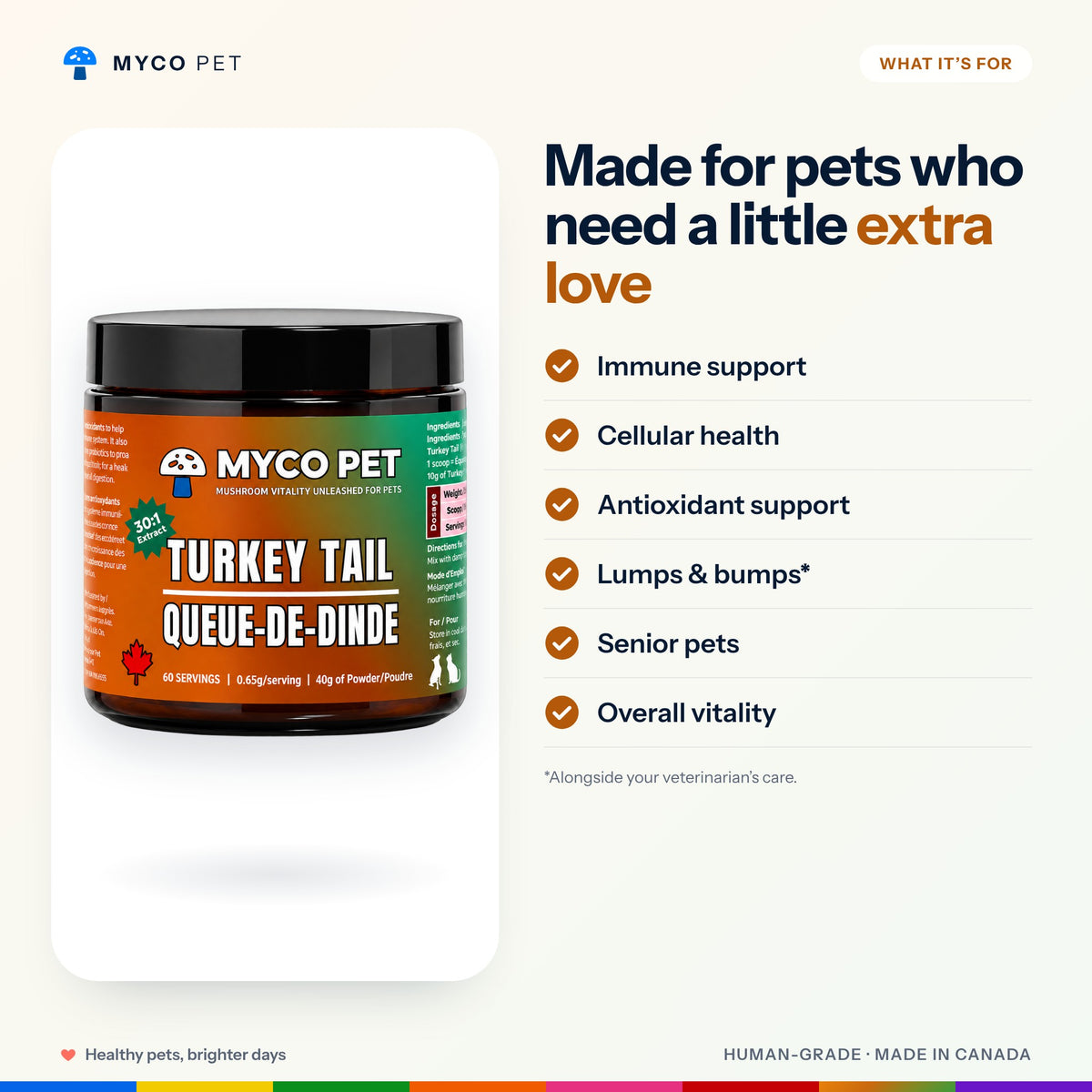 What Turkey Tail is made for: immune support, cellular health, antioxidant support, lumps and bumps, senior pets, overall vitality