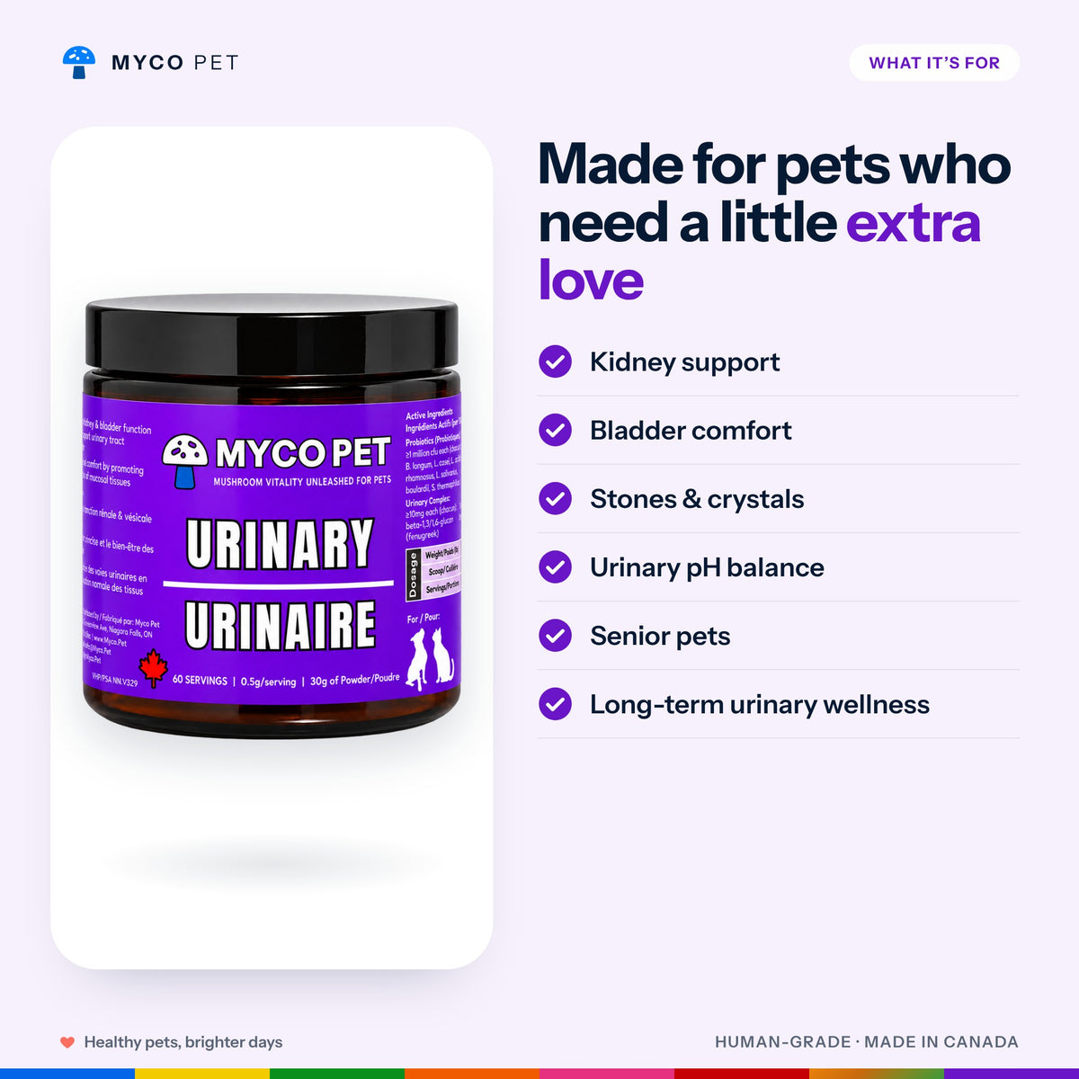 What Urinary is made for: kidney support, bladder comfort, stones and crystals, urinary pH balance, senior pets, long-term urinary wellness